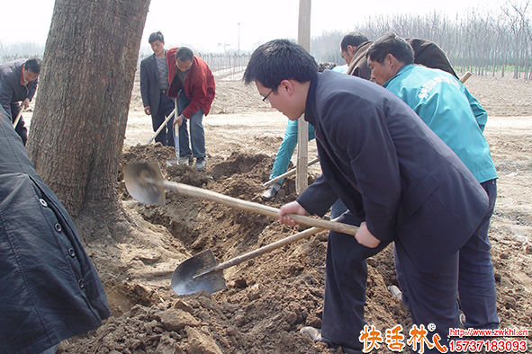 快活林现场养护指导