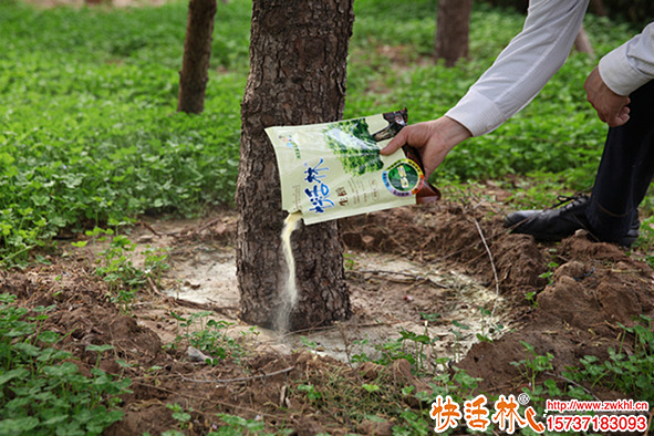 生根粉哪种效果好去哪里买？生根粉厂家哪个好？