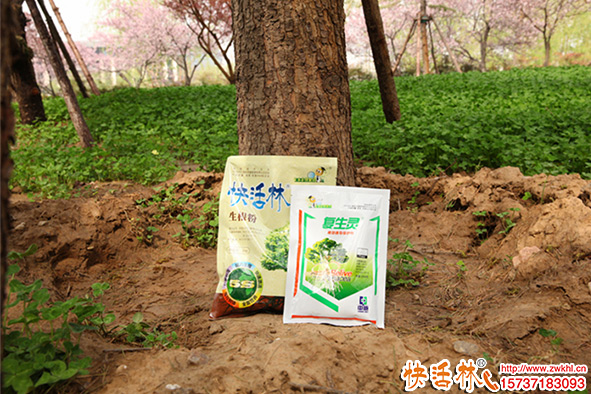 用树木生根粉养护使用技巧，生根粉生产厂家哪个好？