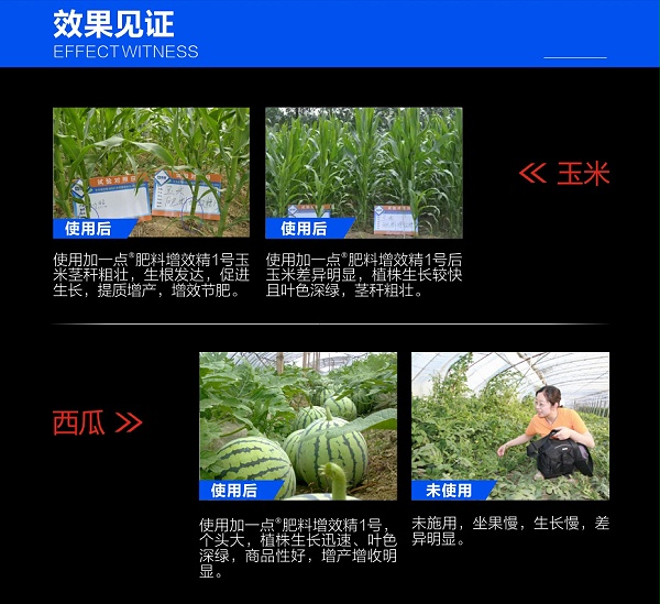 加一点肥料增效精黄色_05