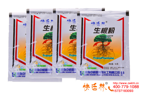 什么品牌的生根剂好，广东茂名杜经理反季节扦插沉香成活率翻两倍