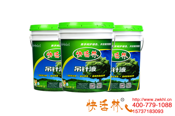 快活林大树营养液价格多少？北京白经理三百多棵银杏树新叶厚绿