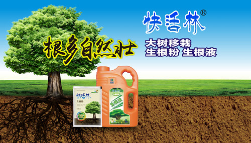 中威快活林大树移栽生根粉生根剂400-779-1088