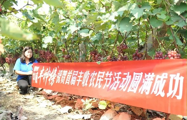 中威靓果机密增红转色膨果用400-779-1088