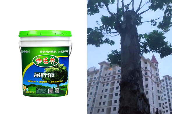 韩经理没有栽不好的树，有快活林大树专用营养液底气就是足